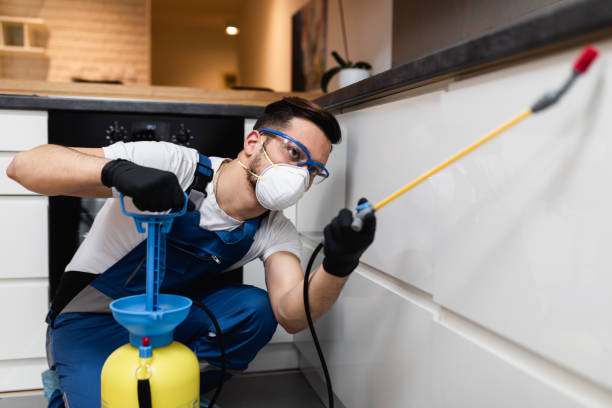 Best Best Pest Control Companies  in Diamondhead, MS