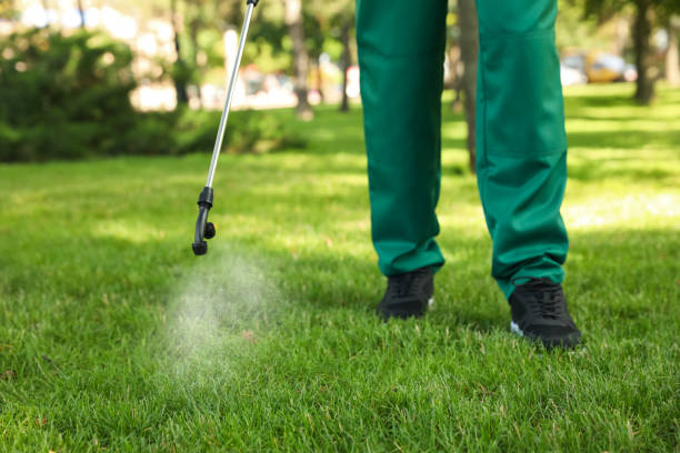 Insect Control in Diamondhead, MS