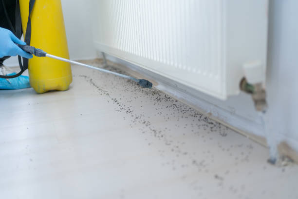 Best Commercial Pest Control Services  in Diamondhead, MS